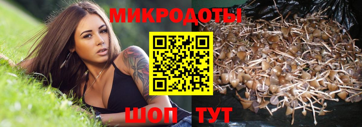 Губкин  Галлюциногенные грибы прущие грибы  Вход с VPN 