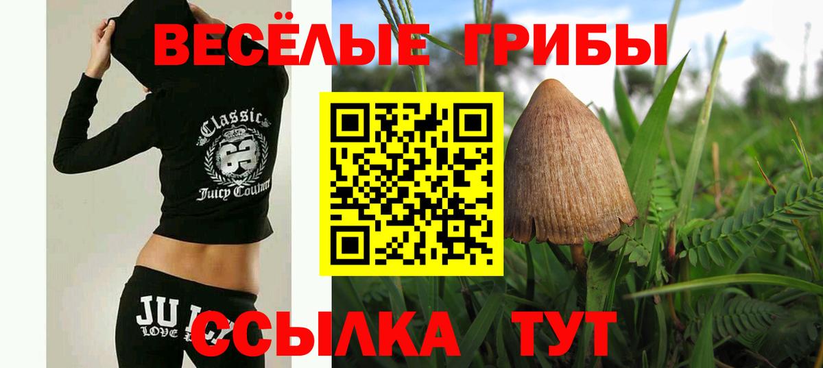 Псилоцибиновые грибы GOLDEN TEACHER Губкин